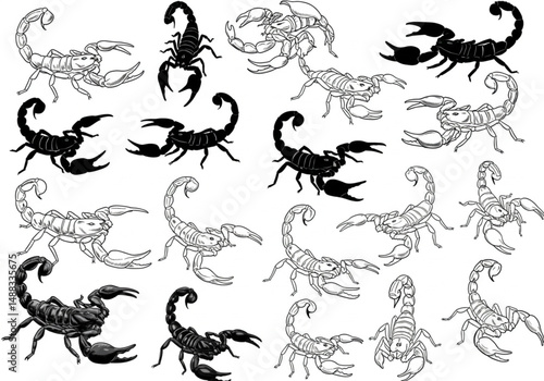 An Array of Scorpion Illustrations and Designs Displaying the Diversity in the Arthropod Class Arachnida Species in Art
