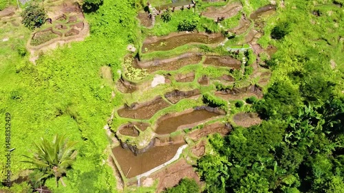 Beautiful aerial view of Batad Rice Terraces, a UNESCO World Heritage site in the Philippines. Ancient Ifugao rice farming seen in vibrant green layers