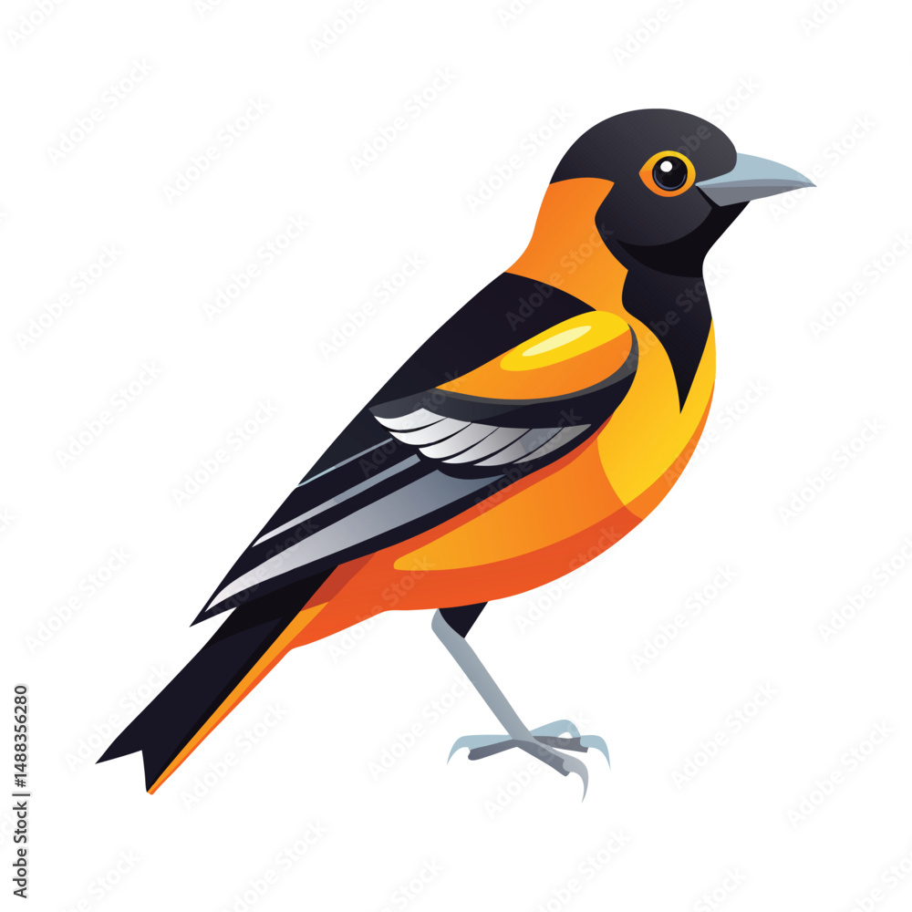Obraz premium Male baltimore oriole bird illustration vector