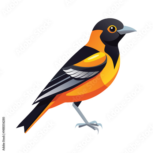 Male baltimore oriole bird illustration vector