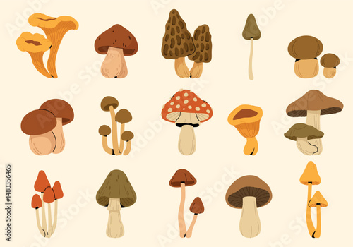 Cartoon mushrooms. Forest fungi icons, boletus chanterelle fly agaric morel, garden tree fungus flat style, wilderness woodland mushroom food. Vector shrooms isolated set