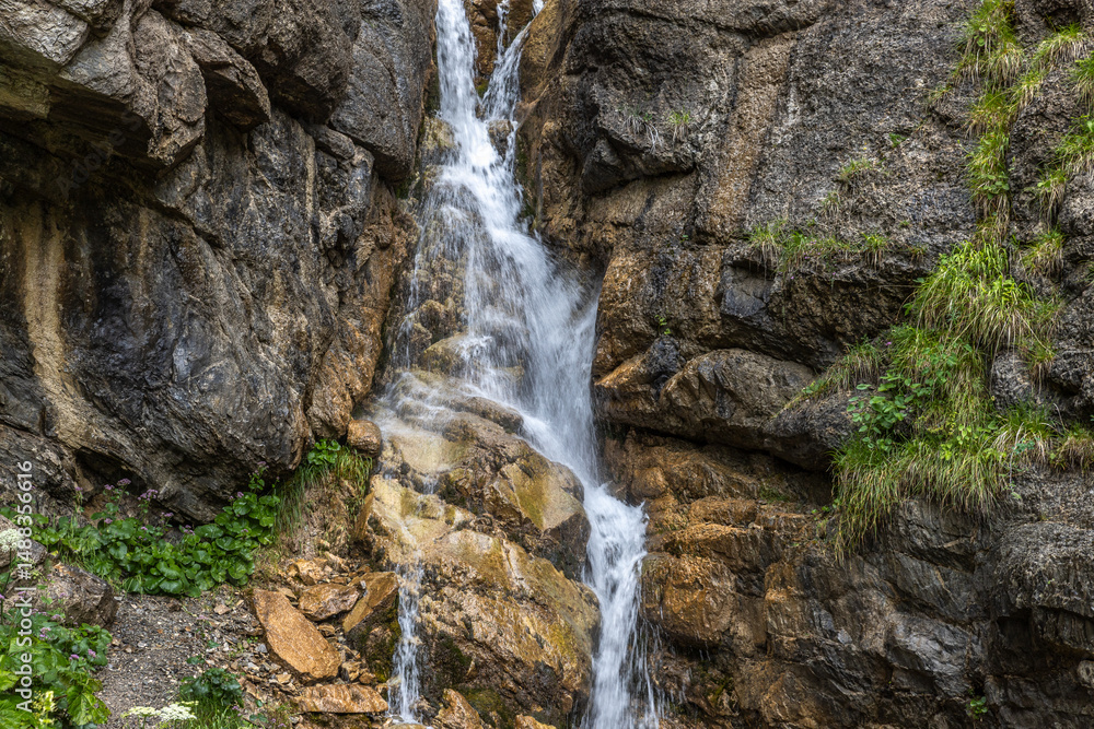 Obraz premium Alpine stream