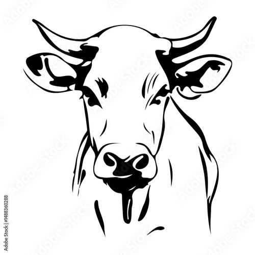 Half Body Cow In style of Realistic Outline Illustration For Farm Animal Design, Livestock Project, Butcher Shop Branding, Educational Materials