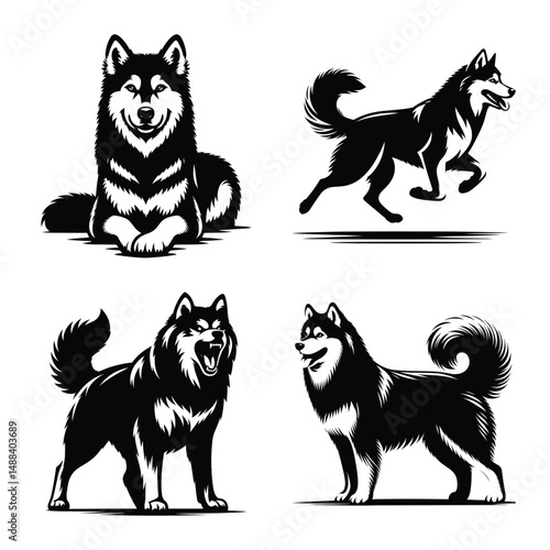 Different siberian husky dog set bundle vector illustration isolated on white background