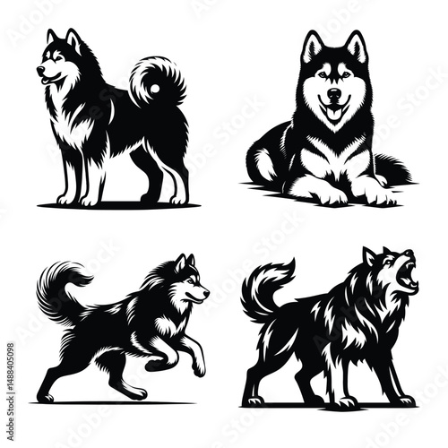 Different siberian husky dog set bundle vector illustration isolated on white background