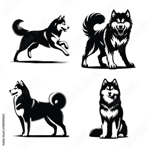 Different siberian husky dog set bundle vector illustration isolated on white background