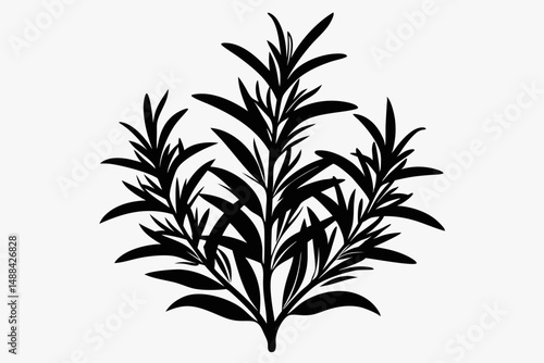 rosemary silhouette line art vector illustration with a white background