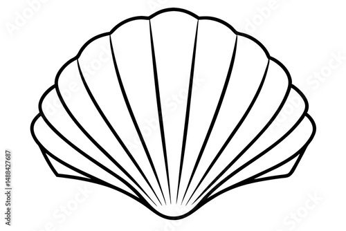 seashell silhouette line art vector illustration with a white background