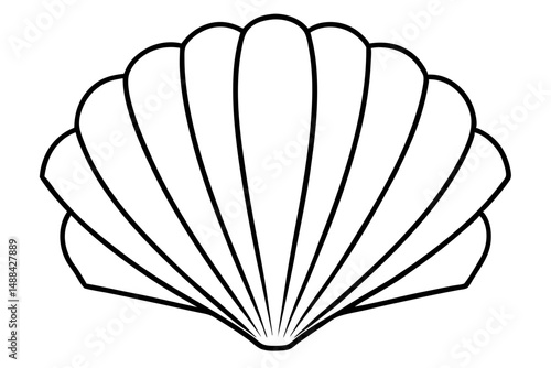 seashell silhouette line art vector illustration with a white background