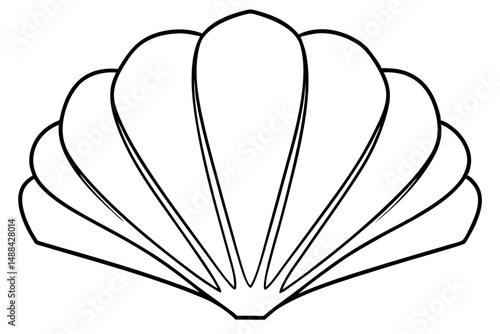 seashell silhouette line art vector illustration with a white background