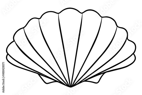 seashell silhouette line art vector illustration with a white background