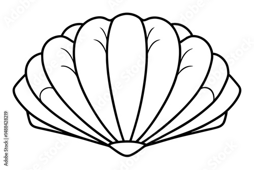 seashell silhouette line art vector illustration with a white background