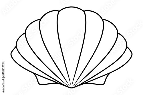 seashell silhouette line art vector illustration with a white background
