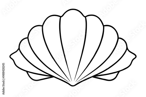 seashell silhouette line art vector illustration with a white background