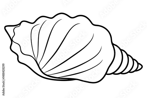 seashell silhouette line art vector illustration with a white background