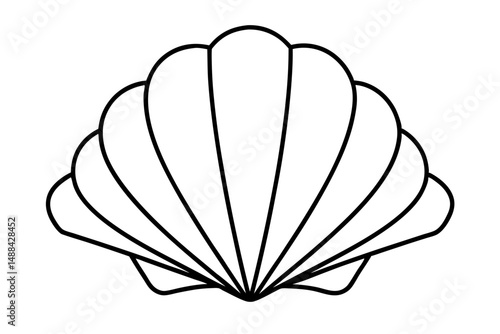 seashell silhouette line art vector illustration with a white background