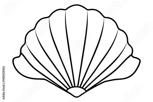 seashell silhouette line art vector illustration with a white background