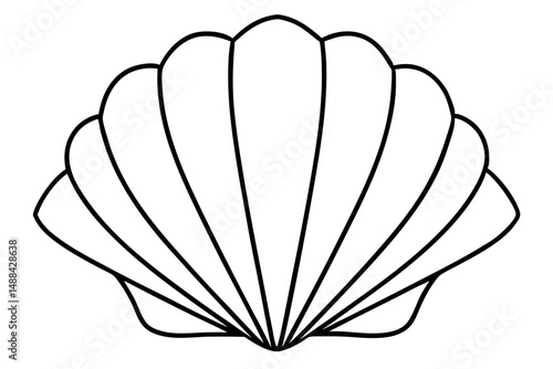 seashell silhouette line art vector illustration with a white background