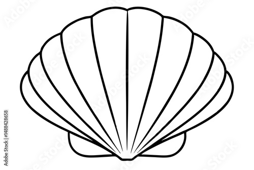 seashell silhouette line art vector illustration with a white background