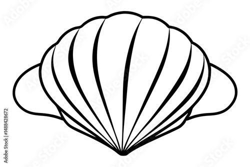 seashell silhouette line art vector illustration with a white background