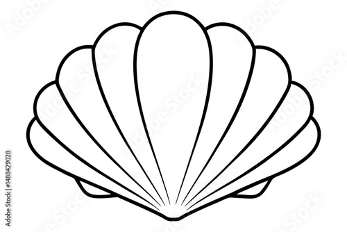 seashell silhouette line art vector illustration with a white background