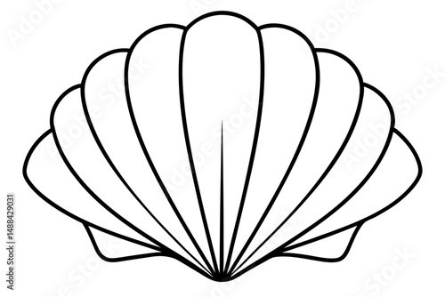 seashell silhouette line art vector illustration with a white background