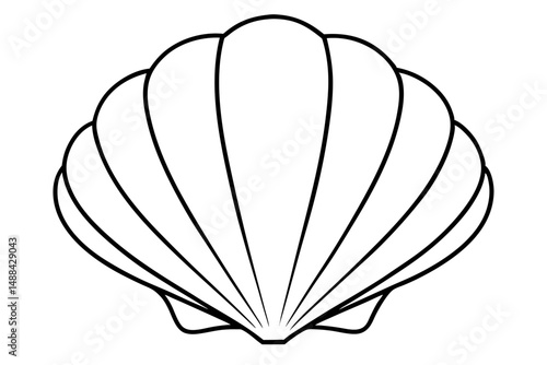 seashell silhouette line art vector illustration with a white background