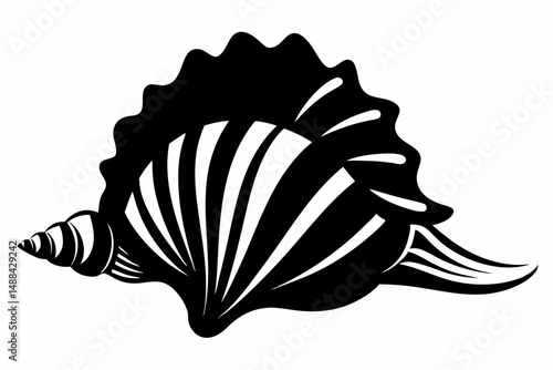 seashell silhouette line art vector illustration with a white background