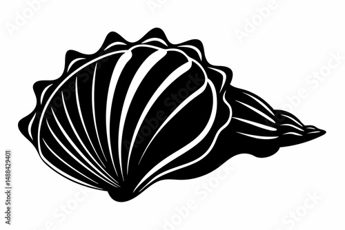 seashell silhouette line art vector illustration with a white background