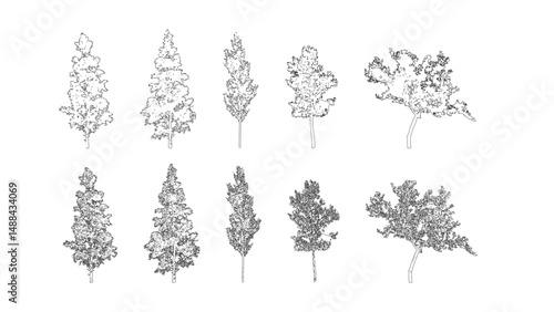 Minimal style cad tree line drawing, Side view, set of graphics trees elements outline symbol for architecture and landscape design drawing. Vector illustration in stroke fill in white. Tropical