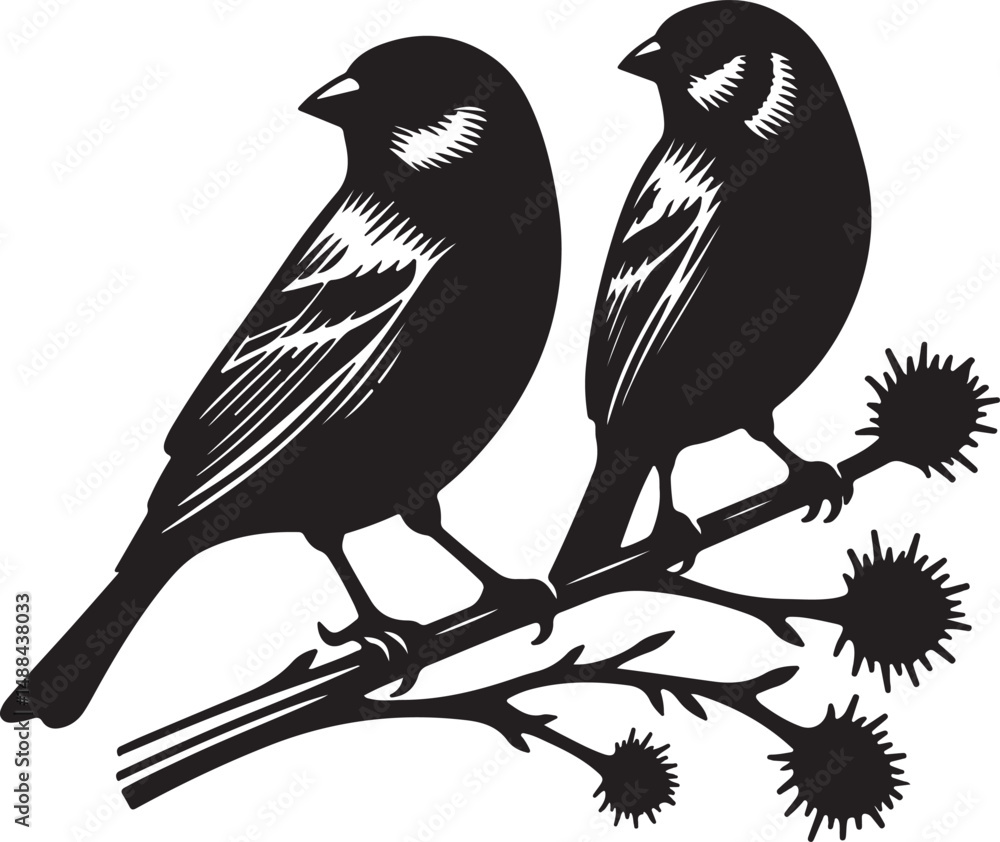 Obraz premium Finch high quality black vector