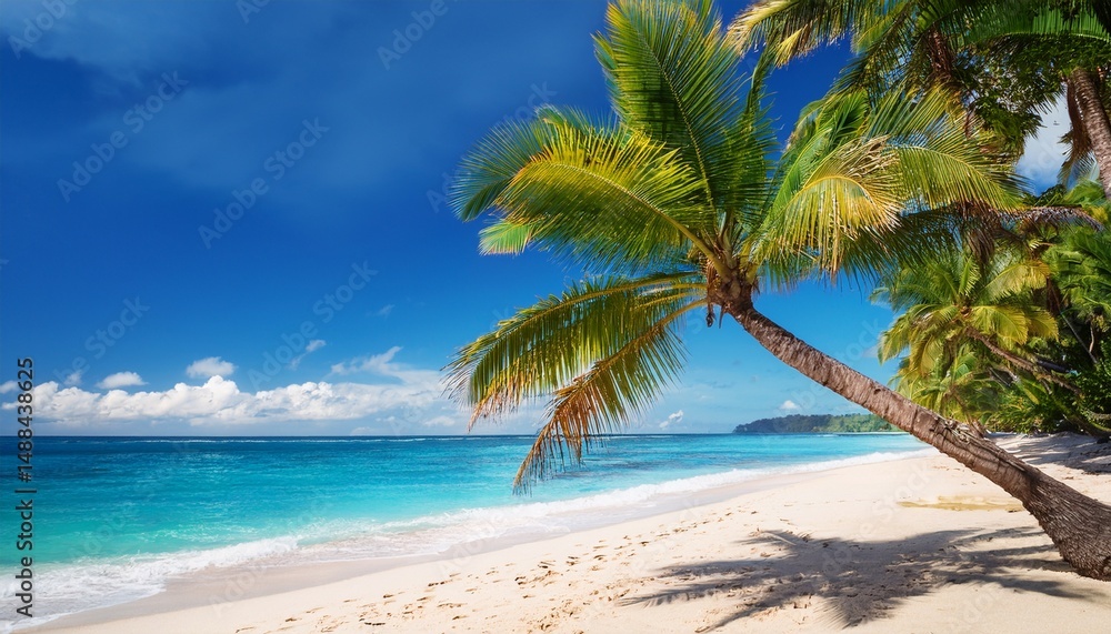 Obraz premium tropical beach with coconut palm