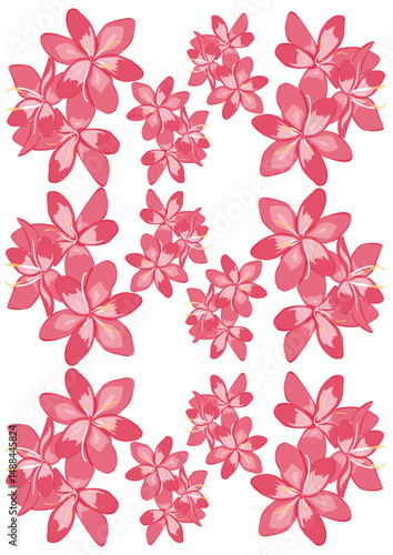 seamless floral pattern, wallpaper, template 