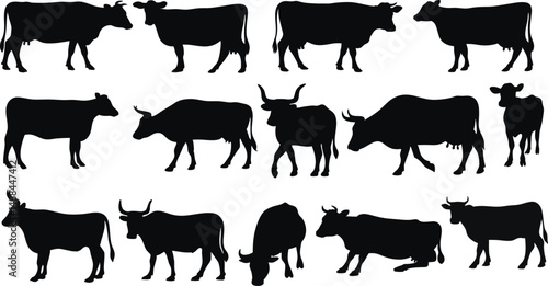 Set of cow silhouettes in various poses, perfect for farm logos, agriculture designs, educational materials, and decor. High-quality black vector outline of dairy and livestock cow illustrations.