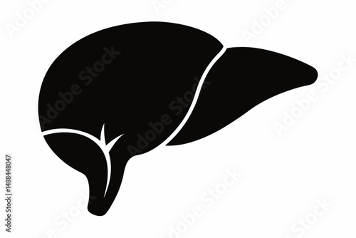liver silhouette line art vector illustration with a white background