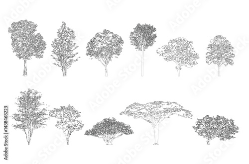 Minimal style cad tree line drawing, Side view, set of graphics trees elements outline symbol for architecture and landscape design drawing. Vector illustration in stroke fill in white. Tropical