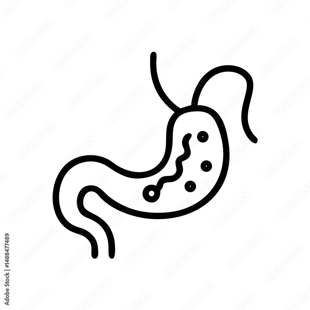 Stomach Organ Icon Representing Digestive System and Human Anatomy Stomach Organ Icon Representing Digestive System and Human Anatomy