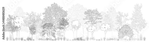 Architectural Drawings, Minimal style cad tree line drawing, Side view, set of section wetland forest outline for landscape design drawing. Vector illustration in seperate element