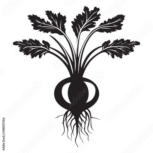 Black and white silhouette of beetroot. Vector illustration, Radish and beetroot icon