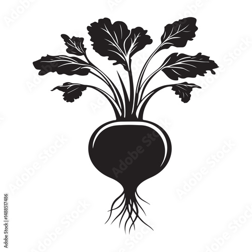 Black and white silhouette of beetroot. Vector illustration, Radish and beetroot icon