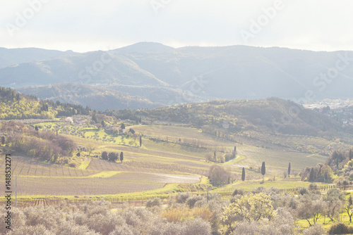 colline toscane, paesaggio. 