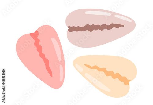 Sea shell. Ocean exotic underwater seashell sticker. Hand drawn vector illustration isolated on white background