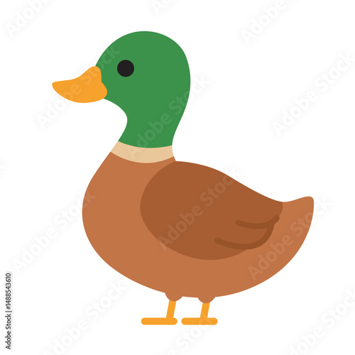 Cute mallard duck, suitable for nature, wildlife, outdoors, animal themed designs and projects