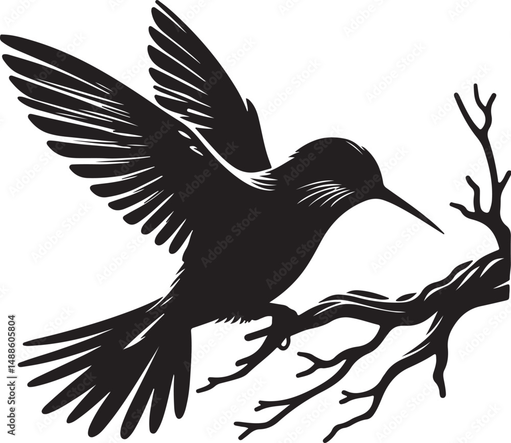 Obraz premium Beautiful Bird high quality black and white vector