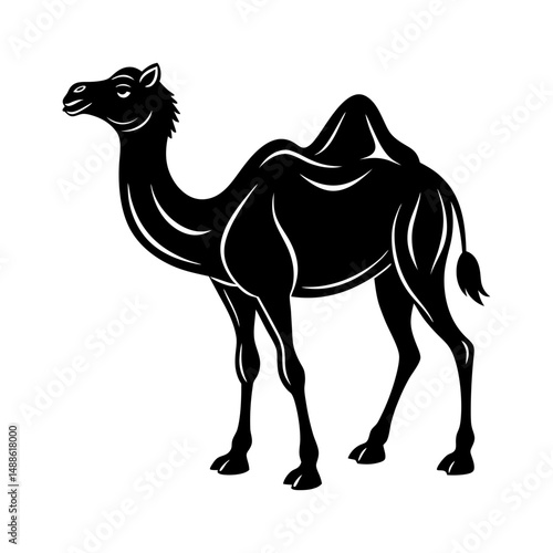 camel silhouette landscape 