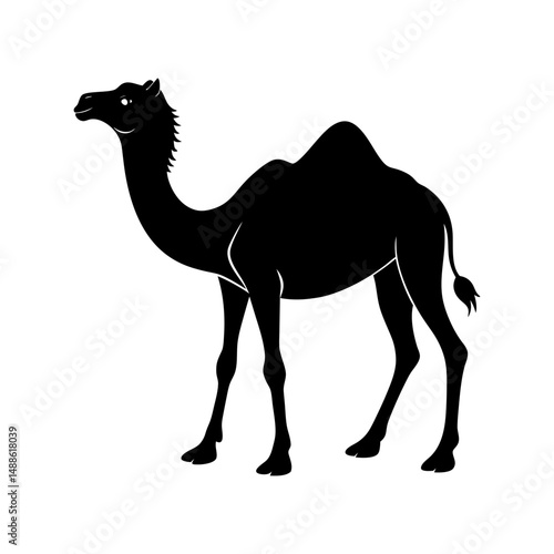 camel silhouette landscape 