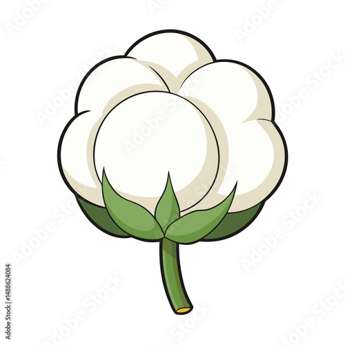 Watercolor Illustration of a Cotton Flower on White Background