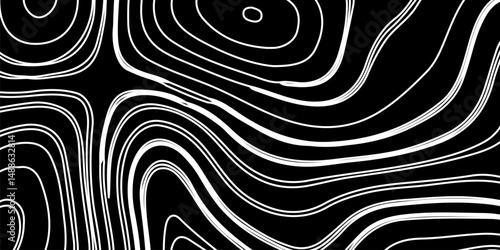 Abstract digital artwork featuring intricate topographic contour lines in fine detail, flowing smoothly and organically across a pure black background. 