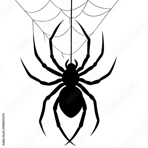 Spider hanging from web silhouette vector illustration