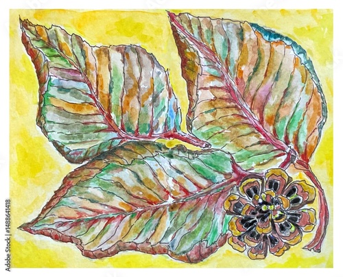 Autumn leaves, pine cone, watercolor illustration